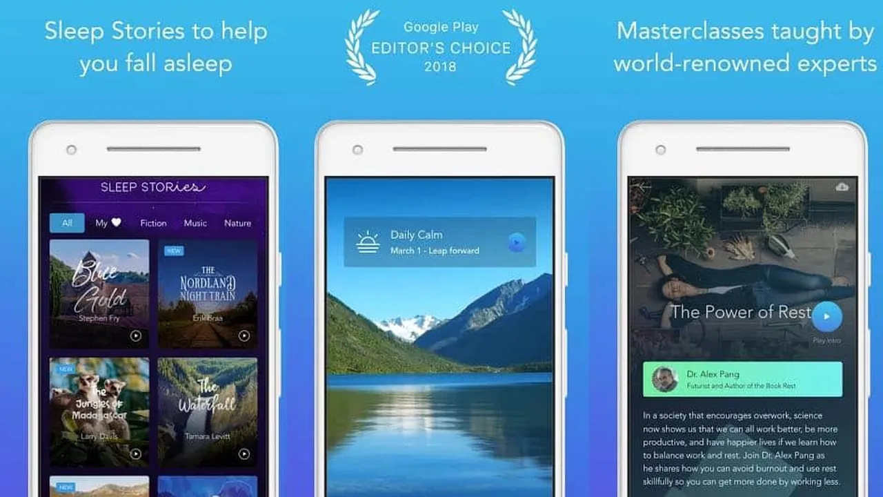 Top 5 Mental Wellness Apps for Daily Calm